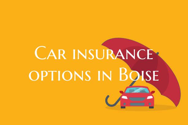 Car insurance options in Boi...