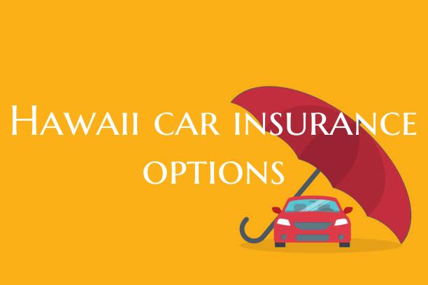 Hawaii car insurance options